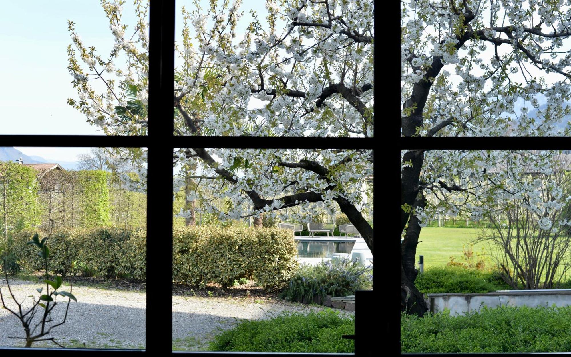 Haus Wiesenstein ラナ エクステリア 写真
