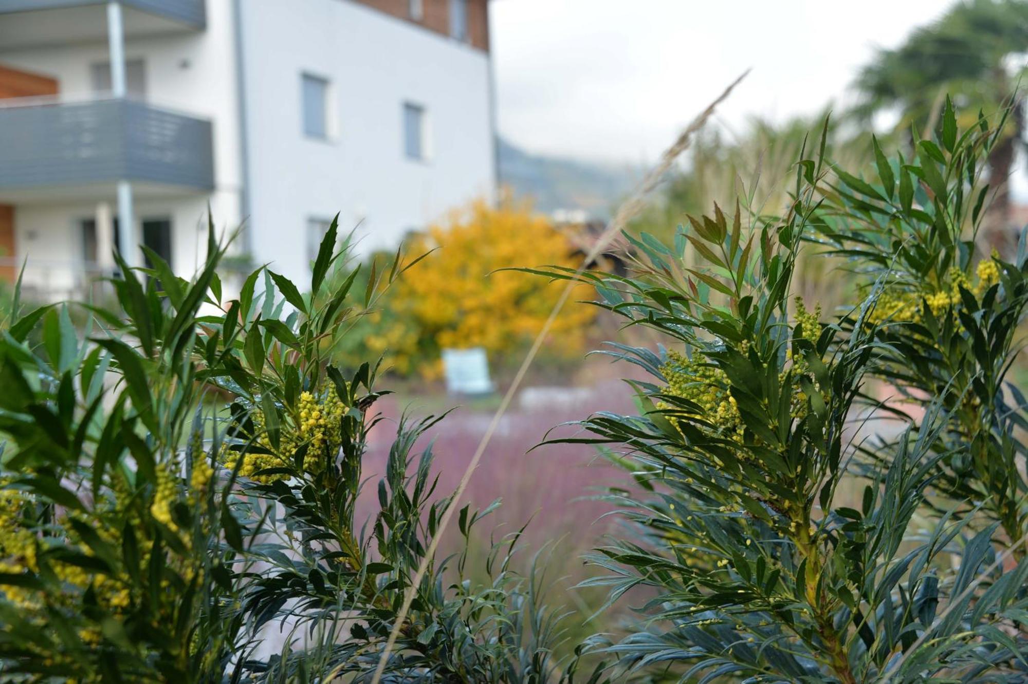 Haus Wiesenstein ラナ エクステリア 写真